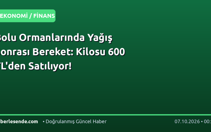 Bolu Ormanlarında Yağış Sonrası Bereket: Kilosu 600 TL'den Satılıyor!
