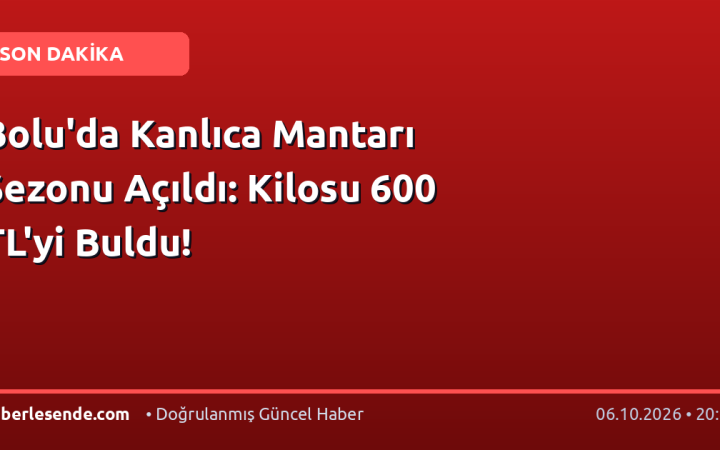 Bolu'da Kanlıca Mantarı Sezonu Açıldı: Kilosu 600 TL'yi Buldu!