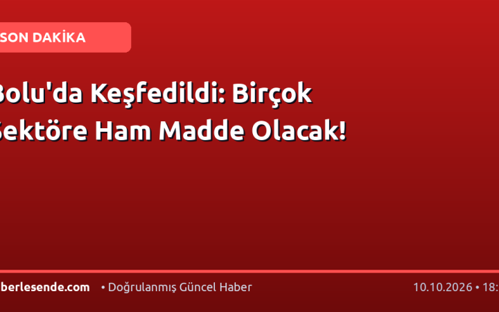 Bolu'da Keşfedildi: Birçok Sektöre Ham Madde Olacak!
