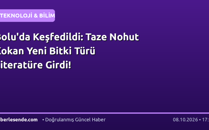 Bolu'da Keşfedildi: Taze Nohut Kokan Yeni Bitki Türü Literatüre Girdi!