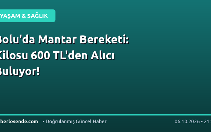 Bolu'da Mantar Bereketi: Kilosu 600 TL'den Alıcı Buluyor!