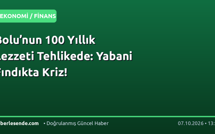 Bolu’nun 100 Yıllık Lezzeti Tehlikede: Yabani Fındıkta Kriz!