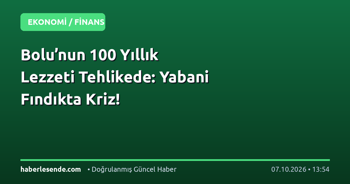 Bolu’nun 100 Yıllık Lezzeti Tehlikede: Yabani Fındıkta Kriz!