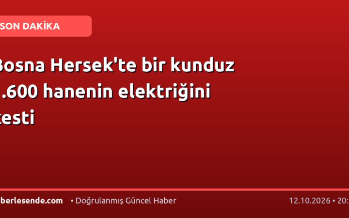 Bosna Hersek'te bir kunduz 1.600 hanenin elektriğini kesti