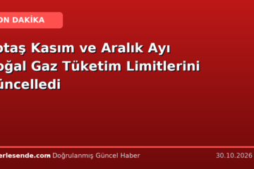 Botaş Kasım ve Aralık Ayı Doğal Gaz Tüketim Limitlerini Güncelledi