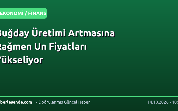Buğday Üretimi Artmasına Rağmen Un Fiyatları Yükseliyor