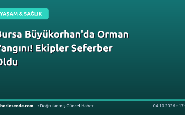 Bursa Büyükorhan'da Orman Yangını! Ekipler Seferber Oldu