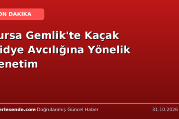 Bursa Gemlik'te Kaçak Midye Avcılığına Yönelik Denetim