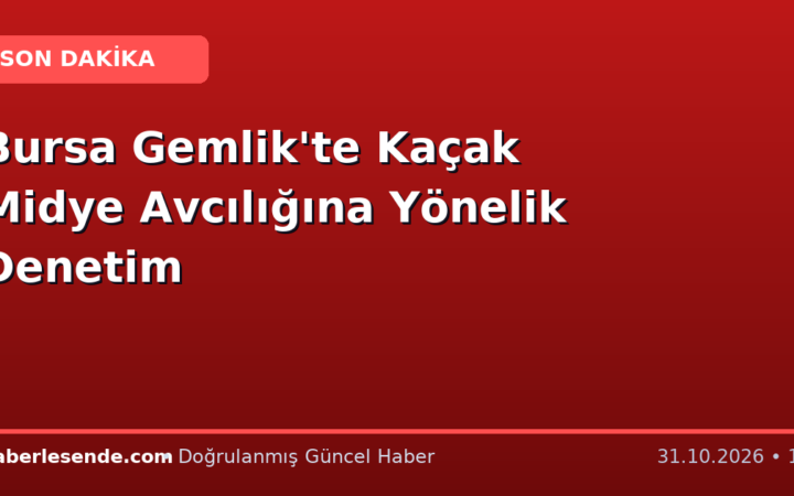 Bursa Gemlik'te Kaçak Midye Avcılığına Yönelik Denetim