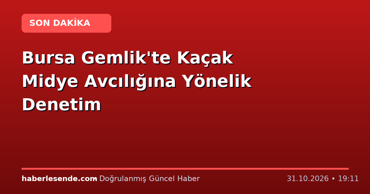 Bursa Gemlik'te Kaçak Midye Avcılığına Yönelik Denetim