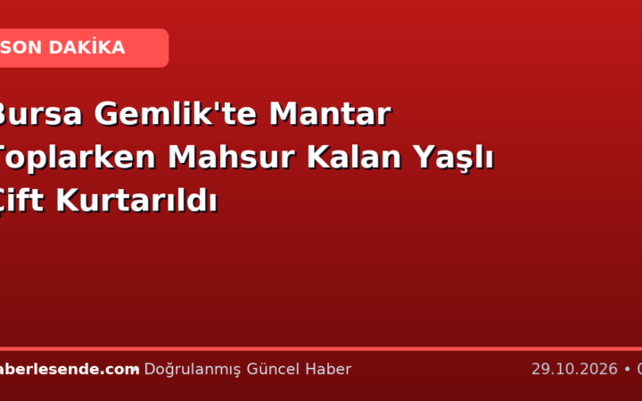 Bursa Gemlik'te Mantar Toplarken Mahsur Kalan Yaşlı Çift Kurtarıldı