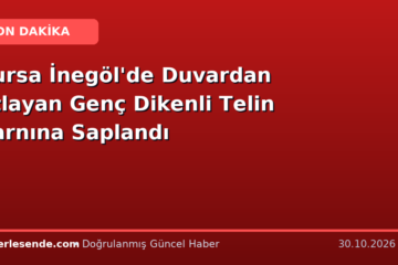 Bursa İnegöl'de Duvardan Atlayan Genç Dikenli Telin Karnına Saplandı