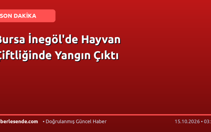 Bursa İnegöl'de Hayvan Çiftliğinde Yangın Çıktı
