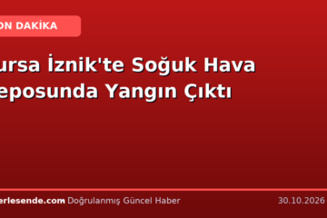 Bursa İznik'te Soğuk Hava Deposunda Yangın Çıktı