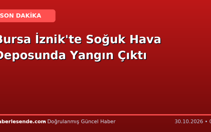 Bursa İznik'te Soğuk Hava Deposunda Yangın Çıktı