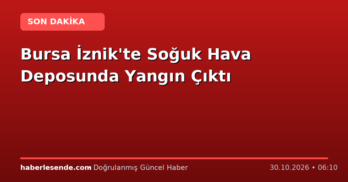 Bursa İznik'te Soğuk Hava Deposunda Yangın Çıktı