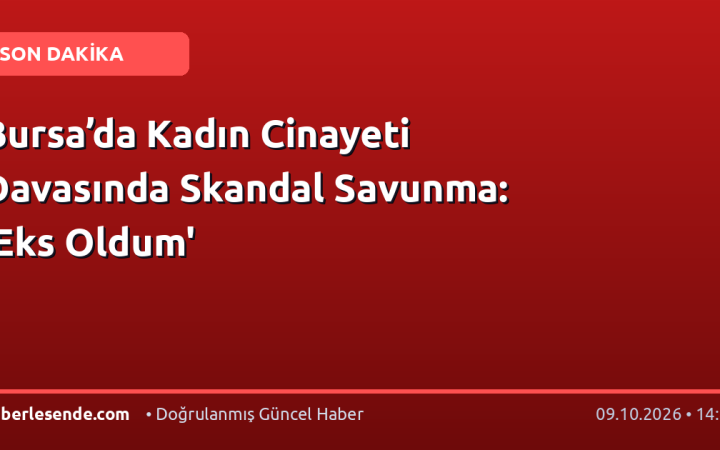 Bursa’da Kadın Cinayeti Davasında Skandal Savunma: 'Eks Oldum'