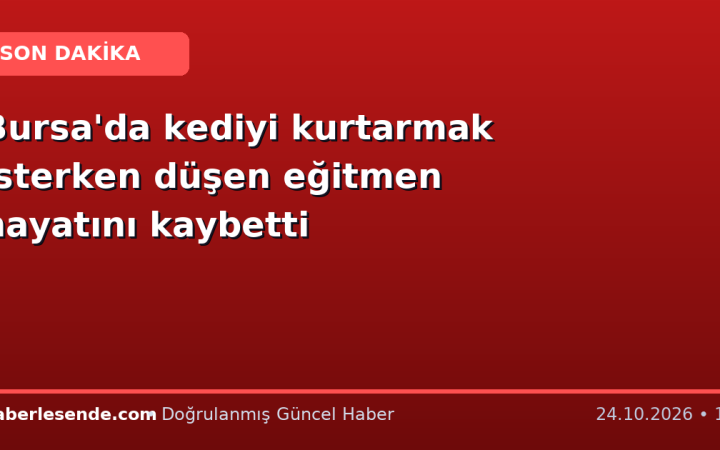 Bursa'da kediyi kurtarmak isterken düşen eğitmen hayatını kaybetti