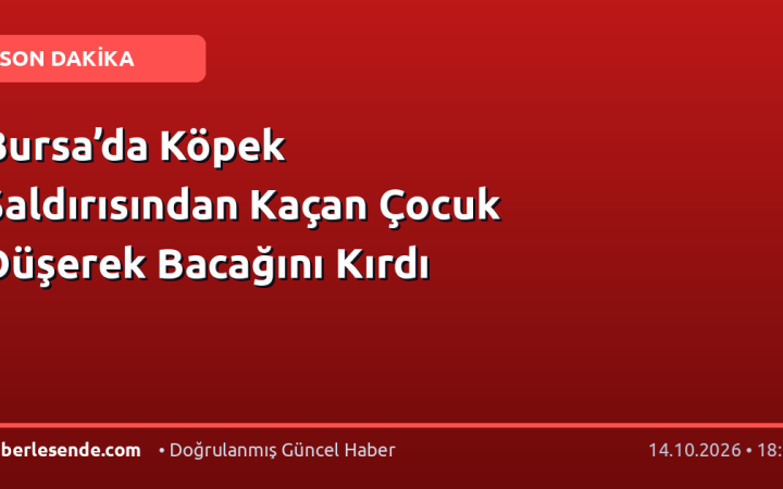 Bursa’da Köpek Saldırısından Kaçan Çocuk Düşerek Bacağını Kırdı