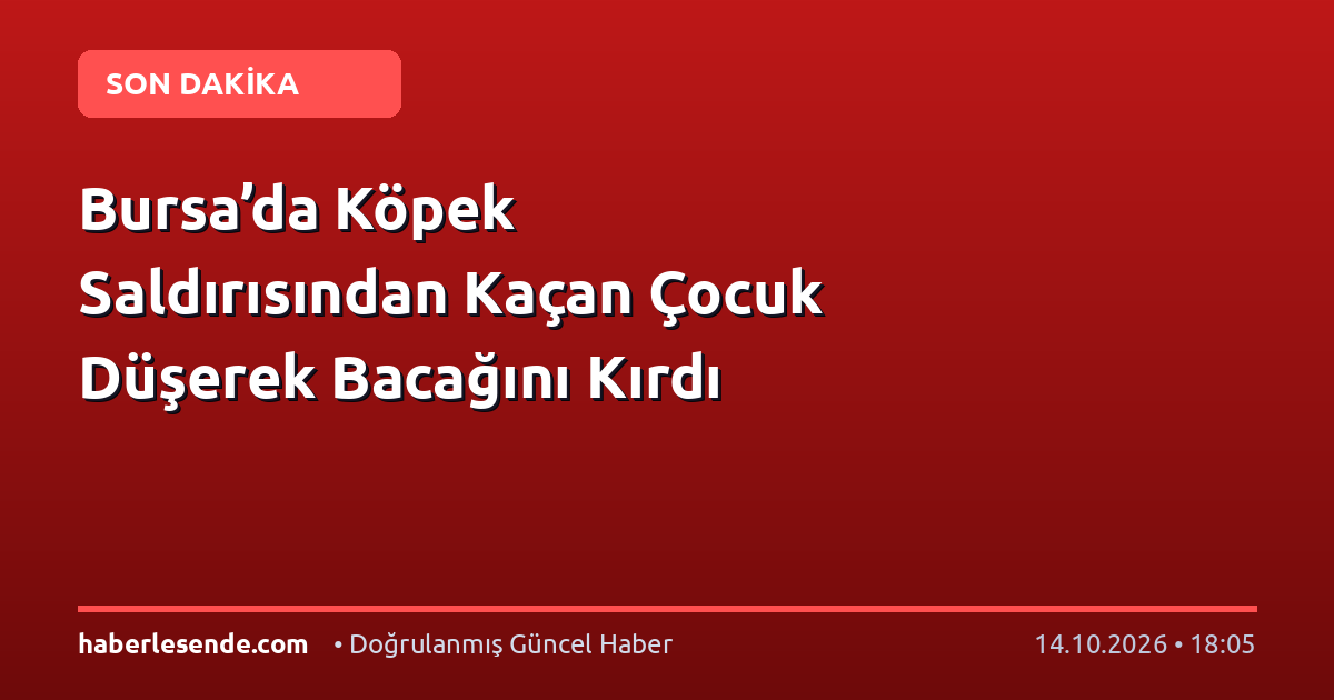 Bursa’da Köpek Saldırısından Kaçan Çocuk Düşerek Bacağını Kırdı