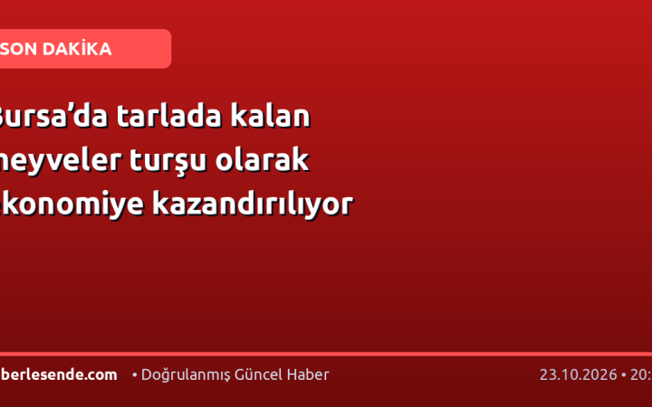 Bursa’da tarlada kalan meyveler turşu olarak ekonomiye kazandırılıyor