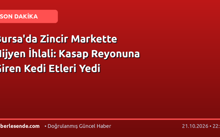 Bursa'da Zincir Markette Hijyen İhlali: Kasap Reyonuna Giren Kedi Etleri Yedi