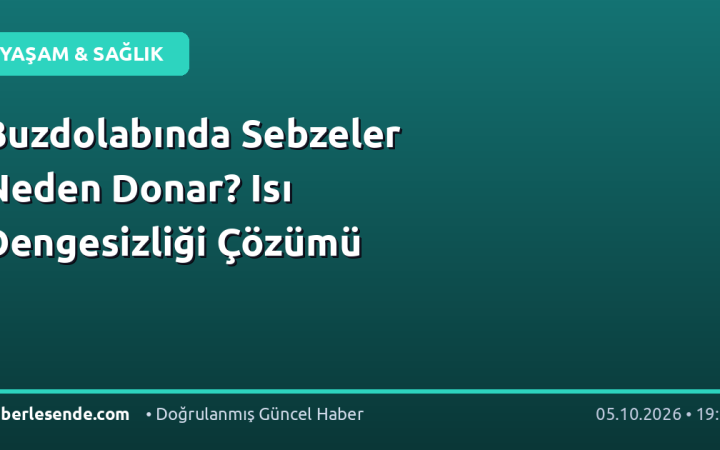 Buzdolabında Sebzeler Neden Donar? Isı Dengesizliği Çözümü