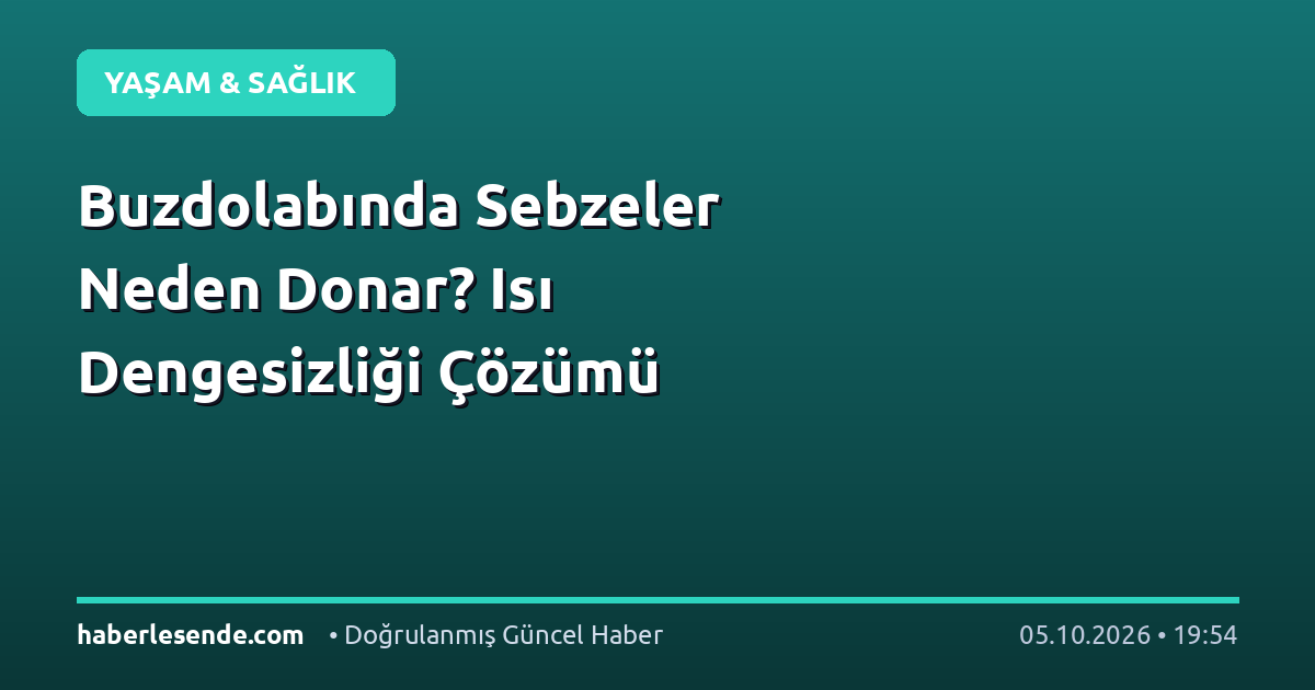 Buzdolabında Sebzeler Neden Donar? Isı Dengesizliği Çözümü