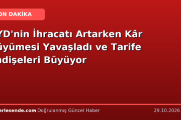 BYD'nin İhracatı Artarken Kâr Büyümesi Yavaşladı ve Tarife Endişeleri Büyüyor