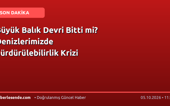 Büyük Balık Devri Bitti mi? Denizlerimizde Sürdürülebilirlik Krizi