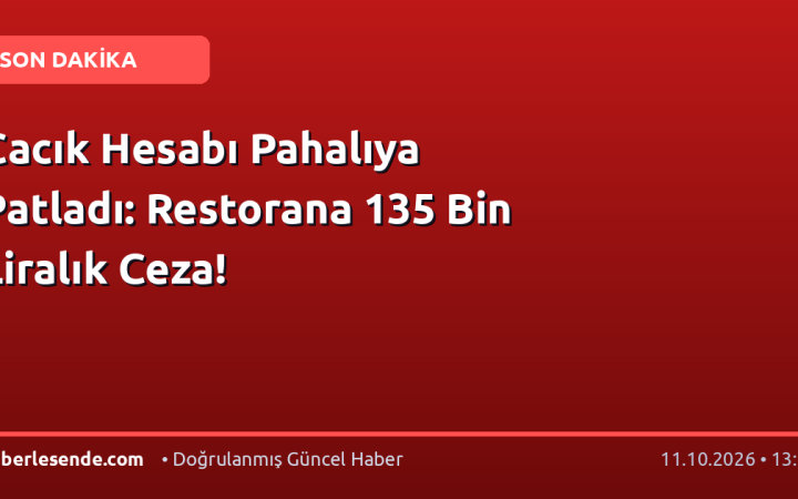 Cacık Hesabı Pahalıya Patladı: Restorana 135 Bin Liralık Ceza!