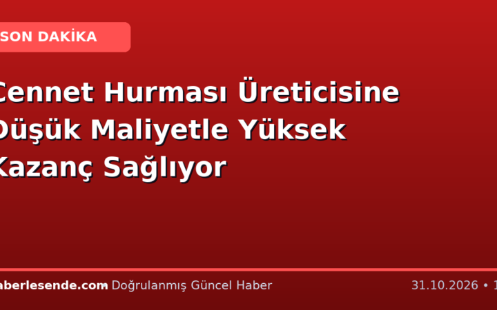 Cennet Hurması Üreticisine Düşük Maliyetle Yüksek Kazanç Sağlıyor