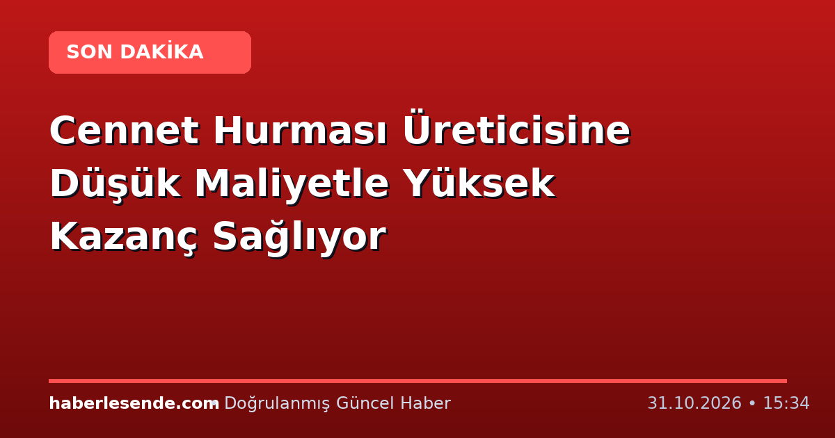 Cennet Hurması Üreticisine Düşük Maliyetle Yüksek Kazanç Sağlıyor
