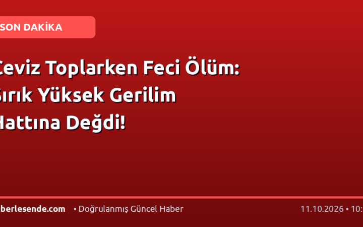 Ceviz Toplarken Feci Ölüm: Sırık Yüksek Gerilim Hattına Değdi!