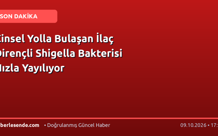 Cinsel Yolla Bulaşan İlaç Dirençli Shigella Bakterisi Hızla Yayılıyor