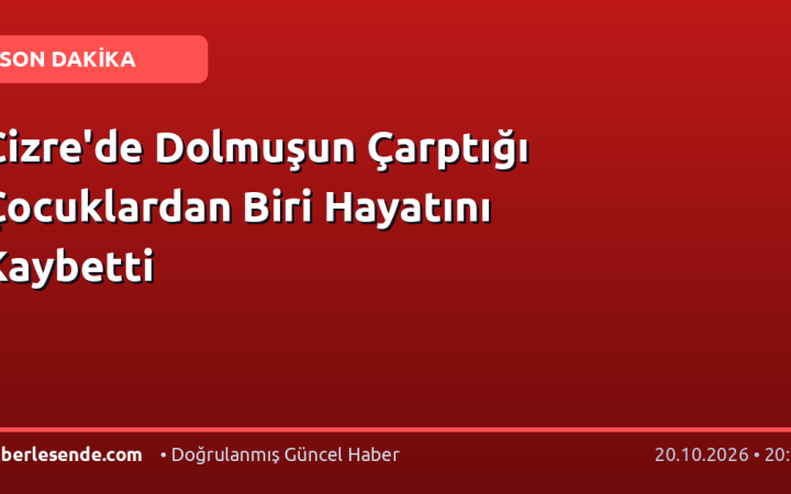 Cizre'de Dolmuşun Çarptığı Çocuklardan Biri Hayatını Kaybetti