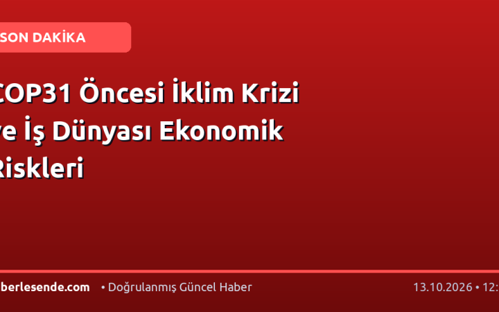 COP31 Öncesi İklim Krizi ve İş Dünyası Ekonomik Riskleri