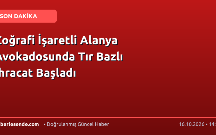 Coğrafi İşaretli Alanya Avokadosunda Tır Bazlı İhracat Başladı