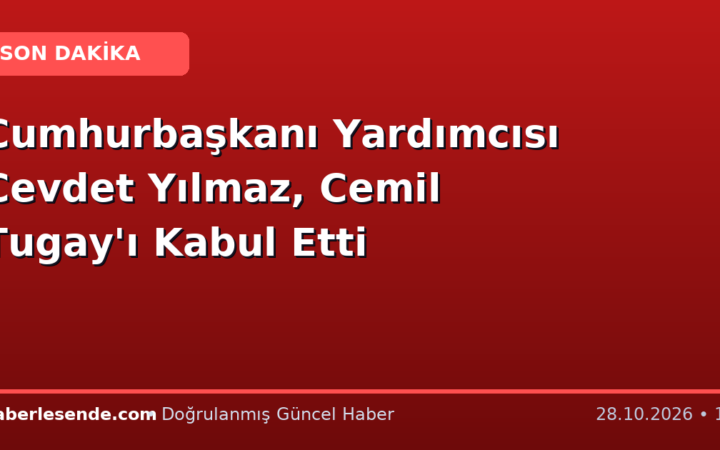 Cumhurbaşkanı Yardımcısı Cevdet Yılmaz, Cemil Tugay'ı Kabul Etti