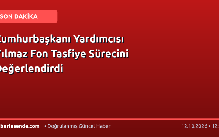 Cumhurbaşkanı Yardımcısı Yılmaz Fon Tasfiye Sürecini Değerlendirdi