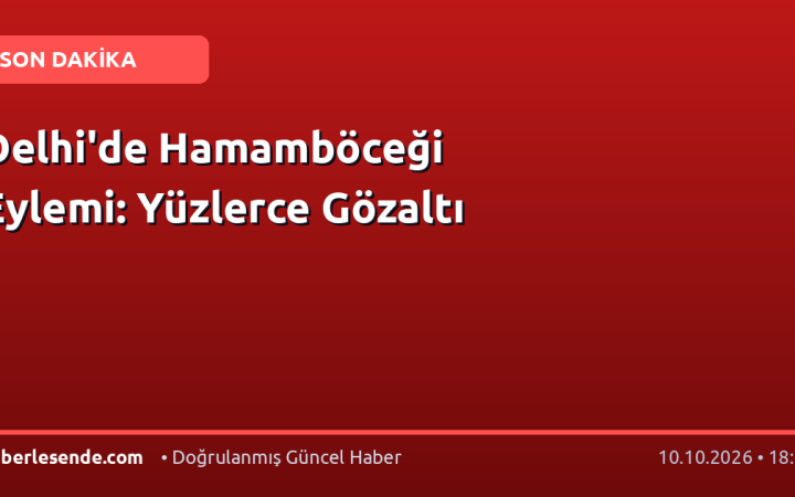 Delhi'de Hamamböceği Eylemi: Yüzlerce Gözaltı