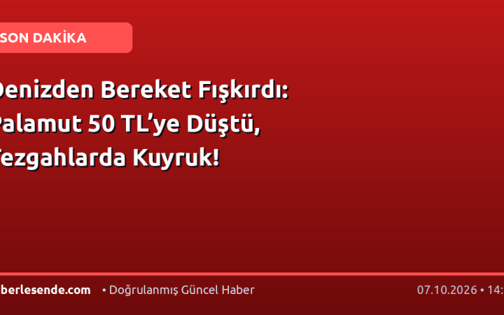 Denizden Bereket Fışkırdı: Palamut 50 TL’ye Düştü, Tezgahlarda Kuyruk!