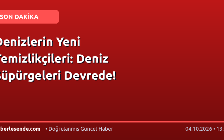Denizlerin Yeni Temizlikçileri: Deniz Süpürgeleri Devrede!