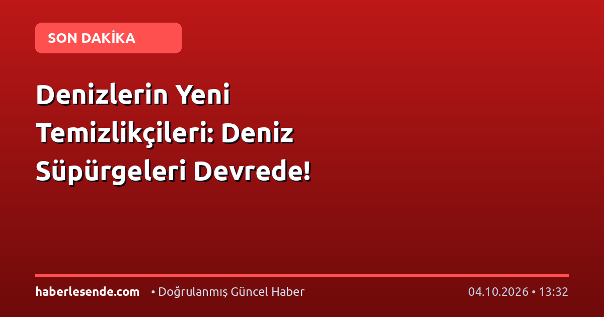 Denizlerin Yeni Temizlikçileri: Deniz Süpürgeleri Devrede!