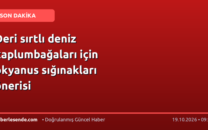 Deri sırtlı deniz kaplumbağaları için okyanus sığınakları önerisi