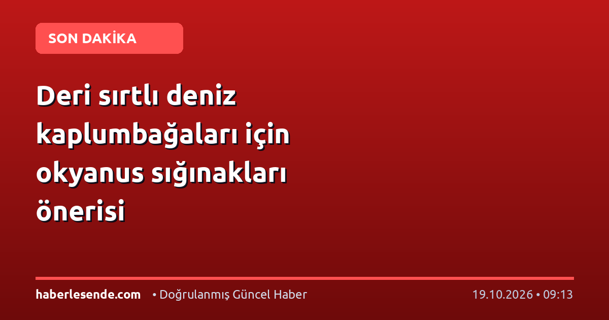 Deri sırtlı deniz kaplumbağaları için okyanus sığınakları önerisi