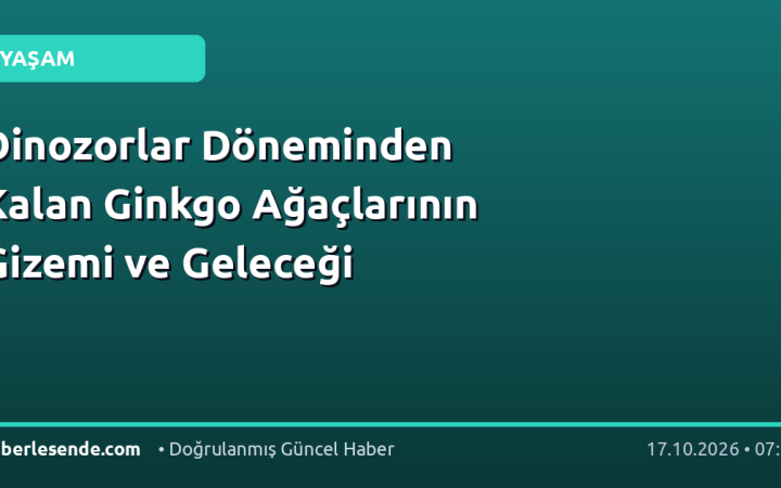 Dinozorlar Döneminden Kalan Ginkgo Ağaçlarının Gizemi ve Geleceği