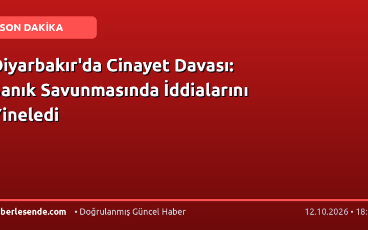 Diyarbakır'da Cinayet Davası: Sanık Savunmasında İddialarını Yineledi