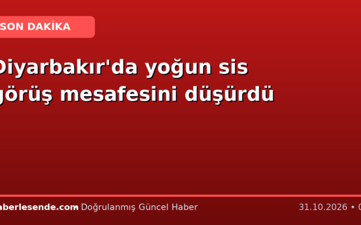 Diyarbakır'da yoğun sis görüş mesafesini düşürdü