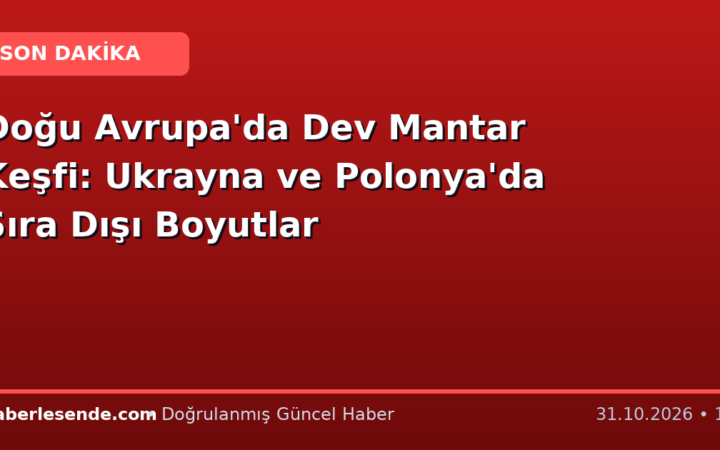 Doğu Avrupa'da Dev Mantar Keşfi: Ukrayna ve Polonya'da Sıra Dışı Boyutlar